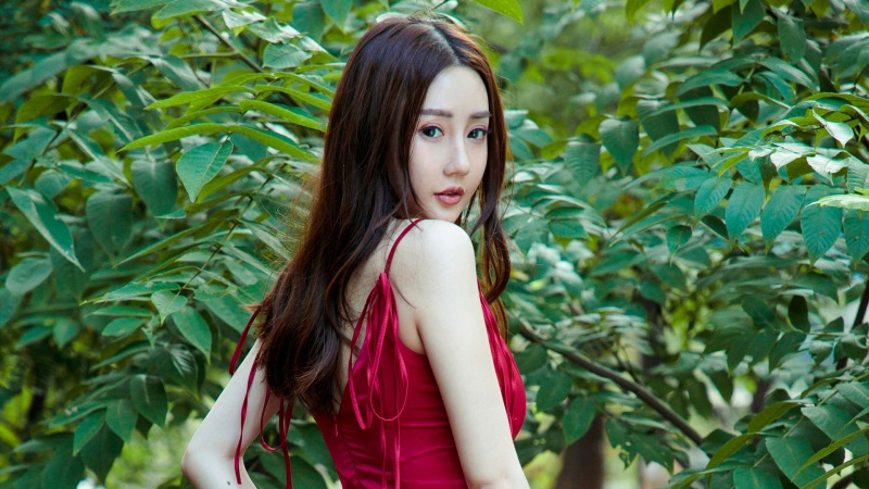 崩坏星穹铁道崇高道德的赞许怎么获得 崇高道德的赞许获得方法